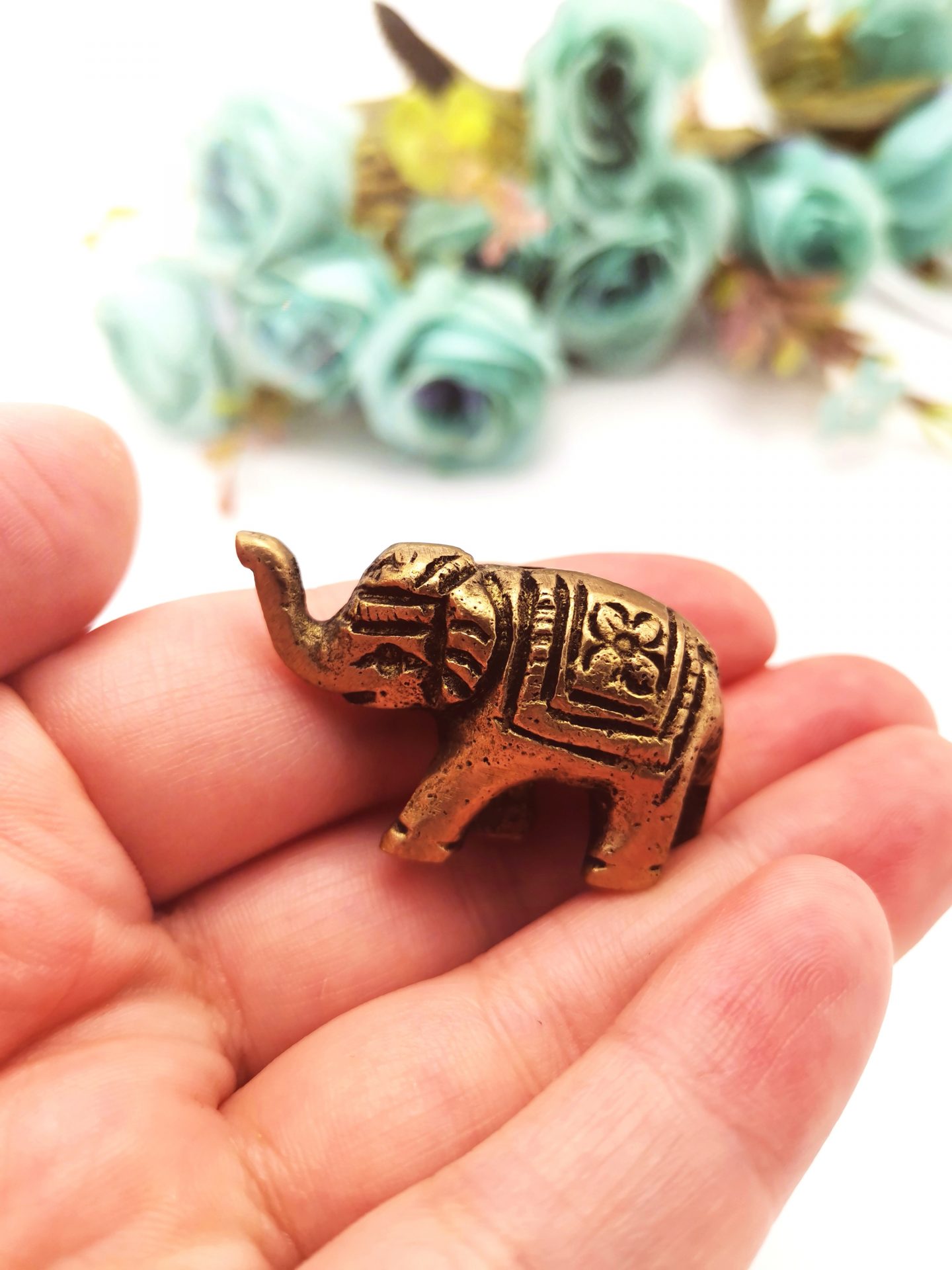 IMG_20210930_150905_edit_1195043038701504