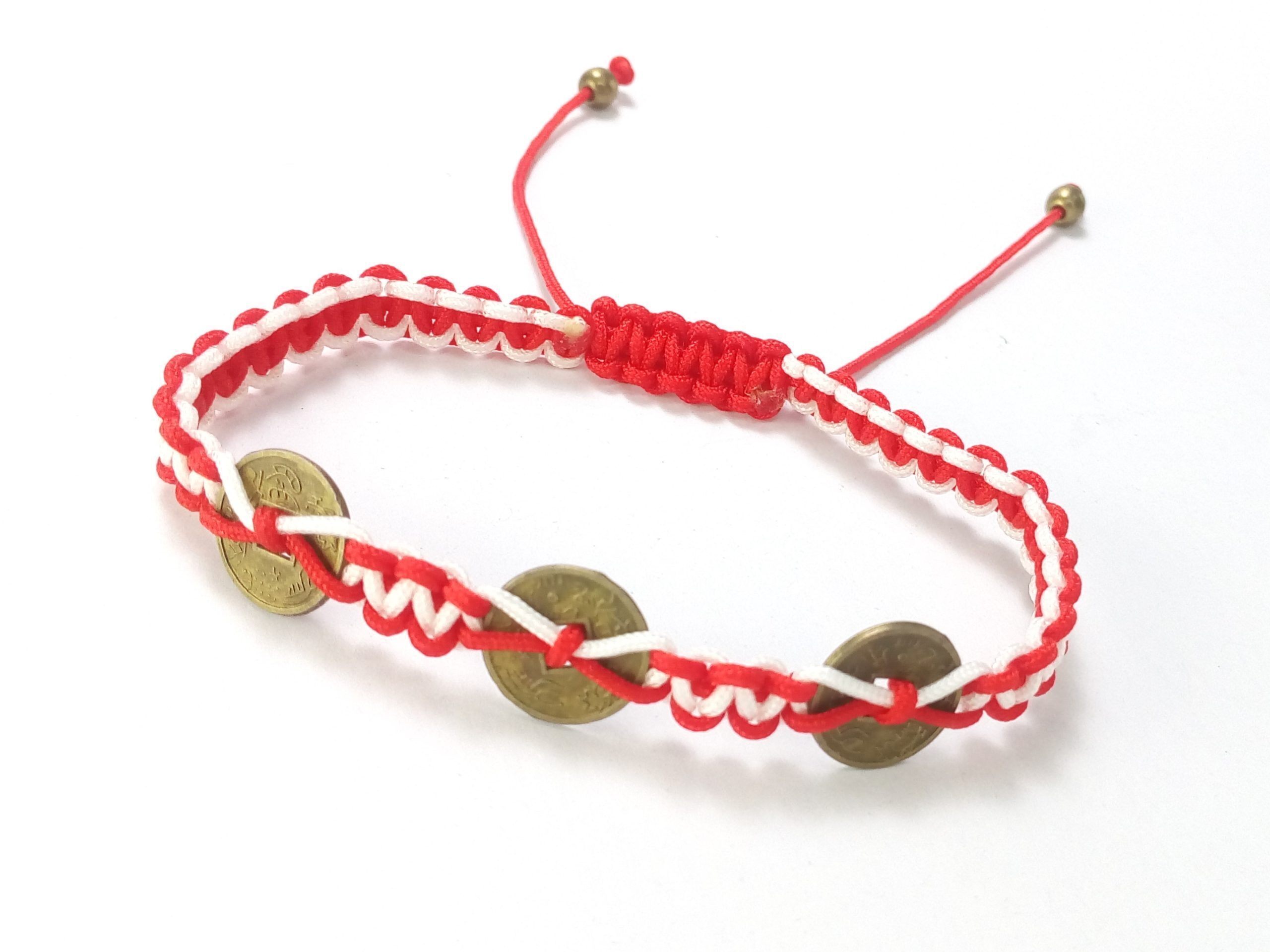 br cu banutifengsuialbrosu (5)