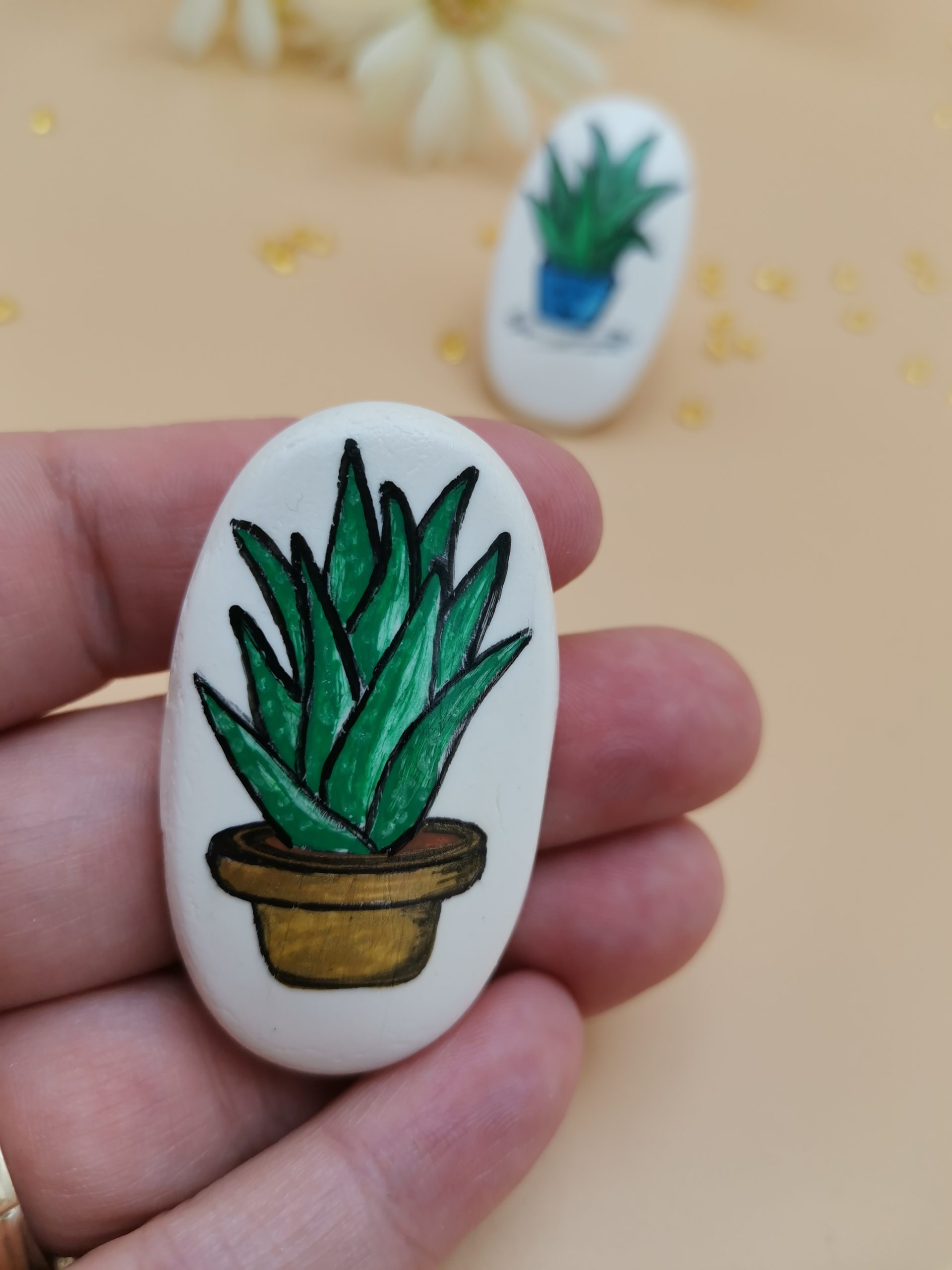 brose pictate portelan rece (57)