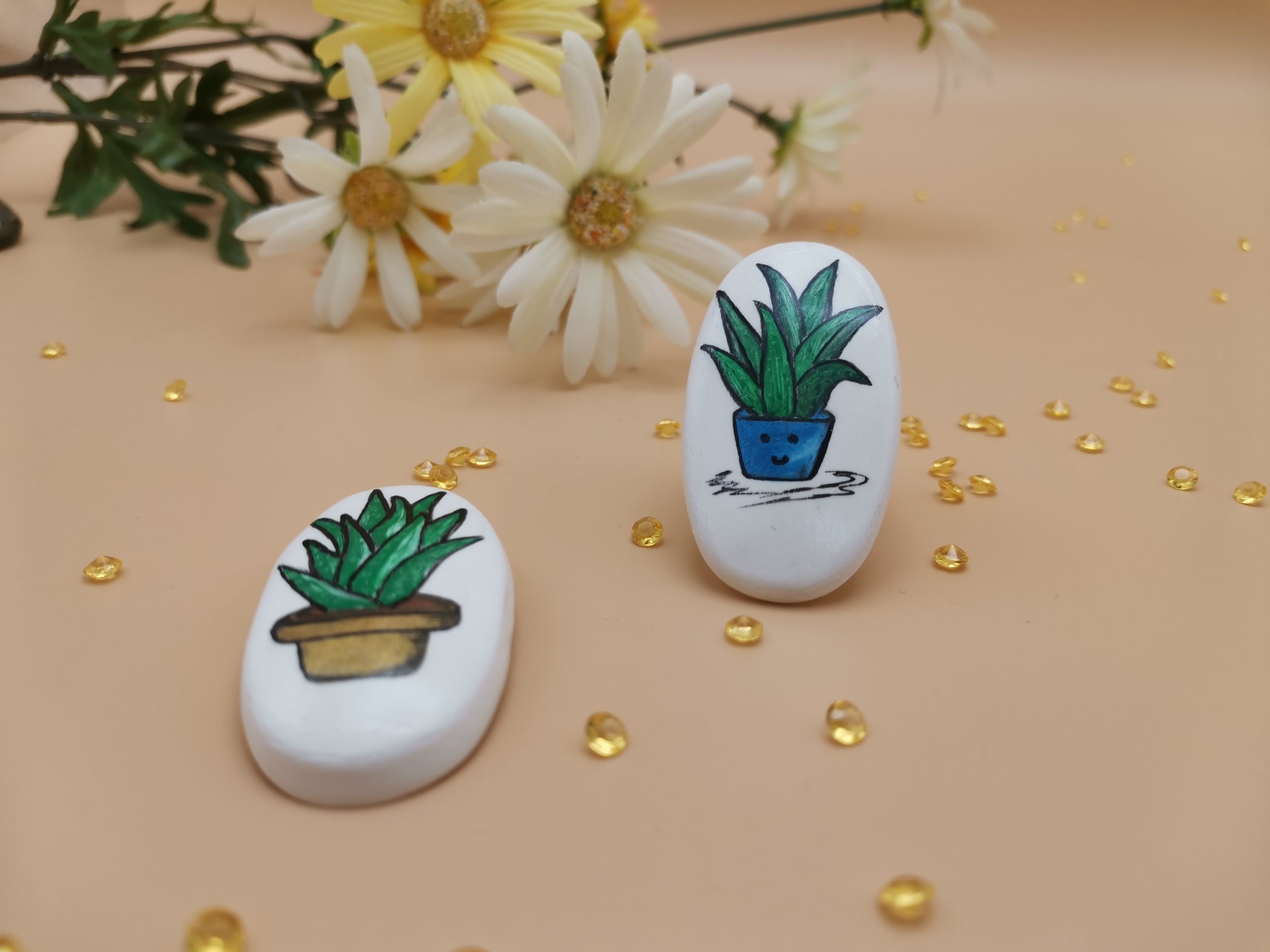 brose pictate portelan rece (58)