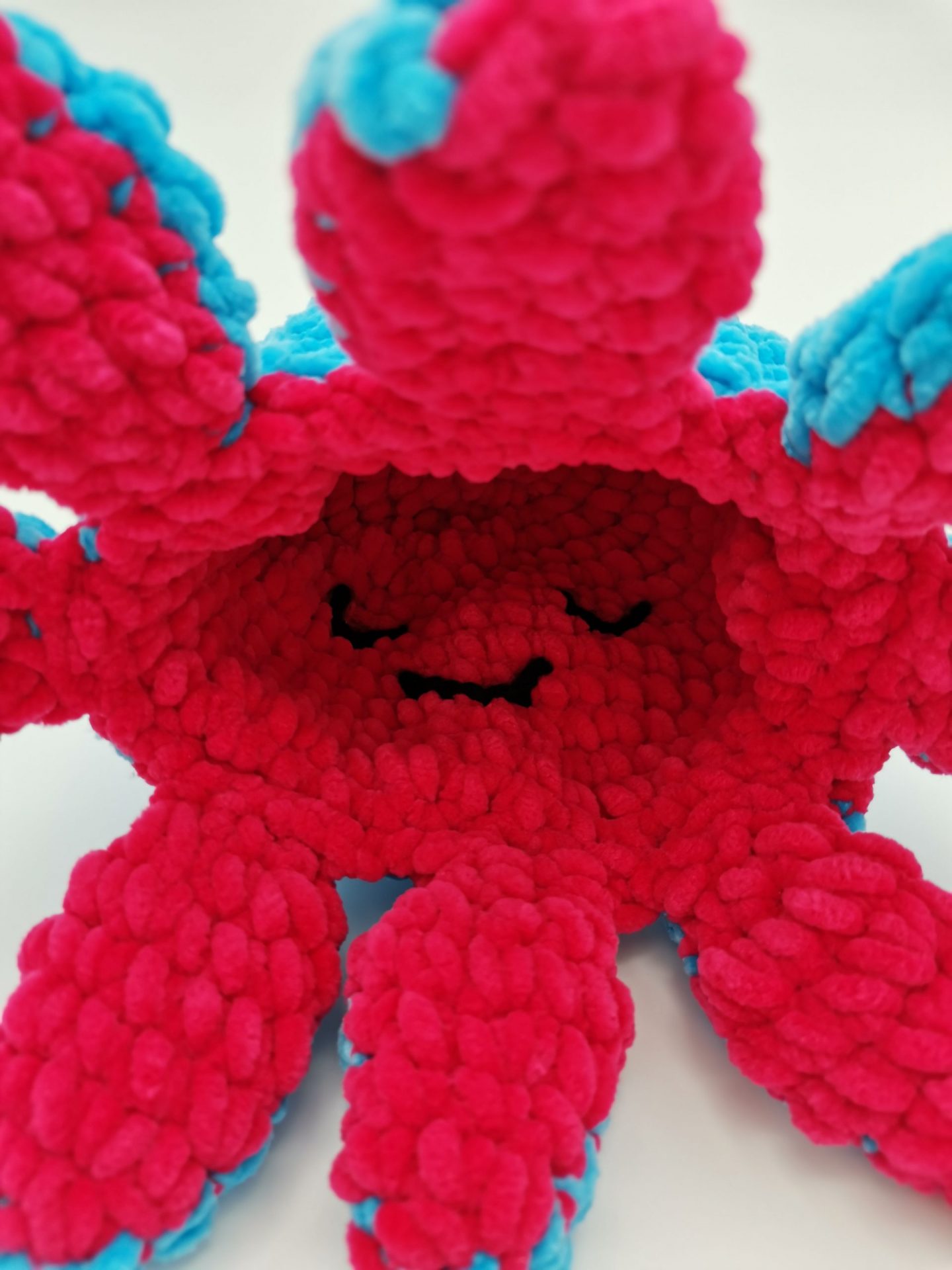 caracatita reversibila cyclam-turcoaz (5)