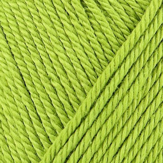 catania 205 sectiune culoare