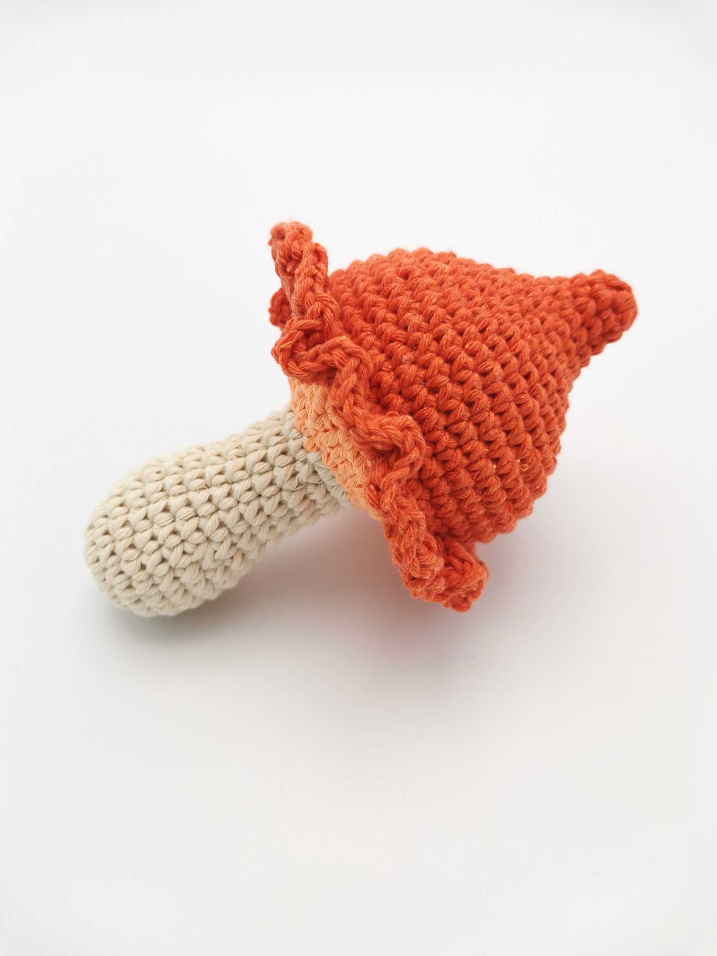 ciuperca portocalie (1)