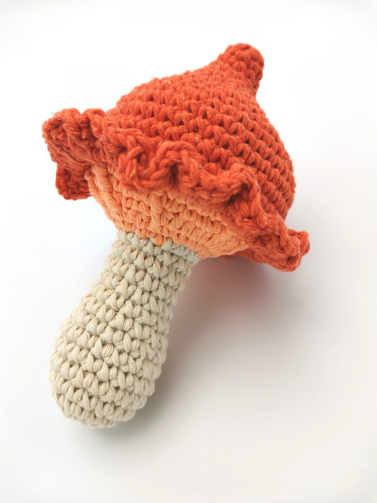 ciuperca portocalie (2)