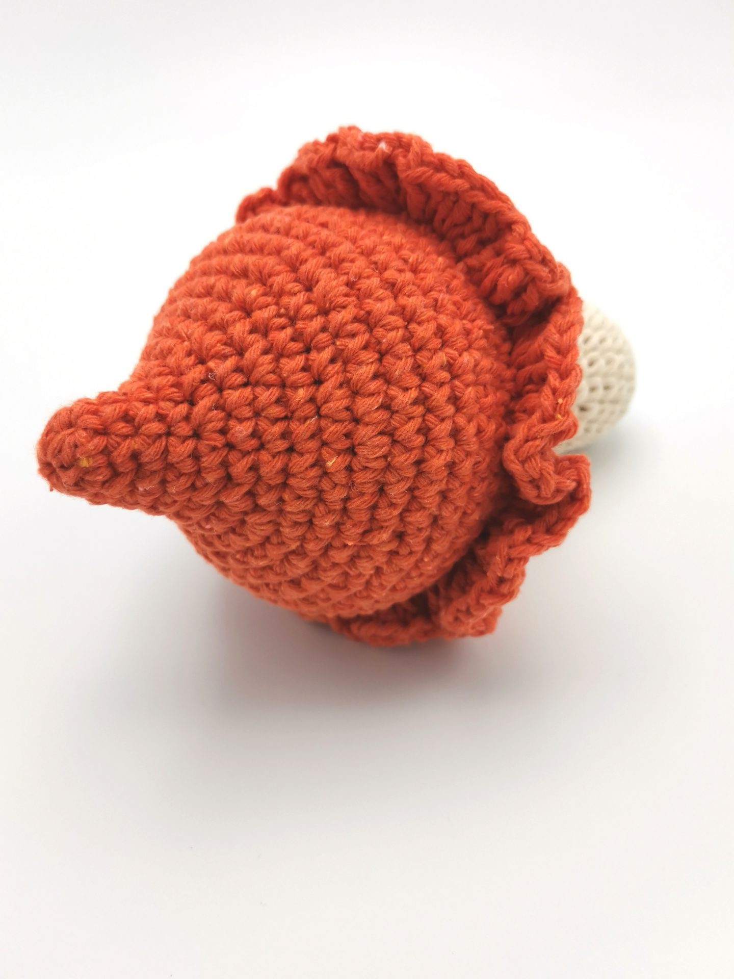 ciuperca portocalie (3)