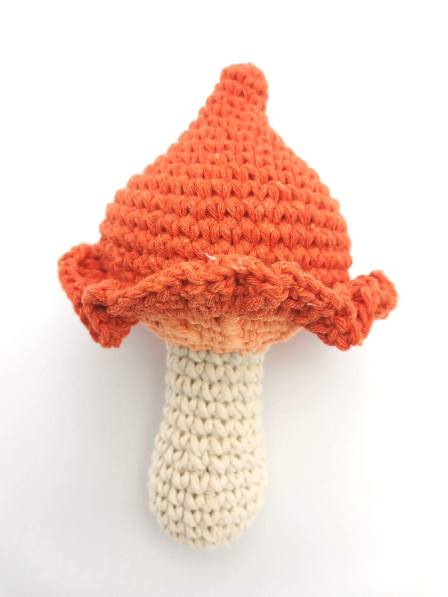 ciuperca portocalie (4)