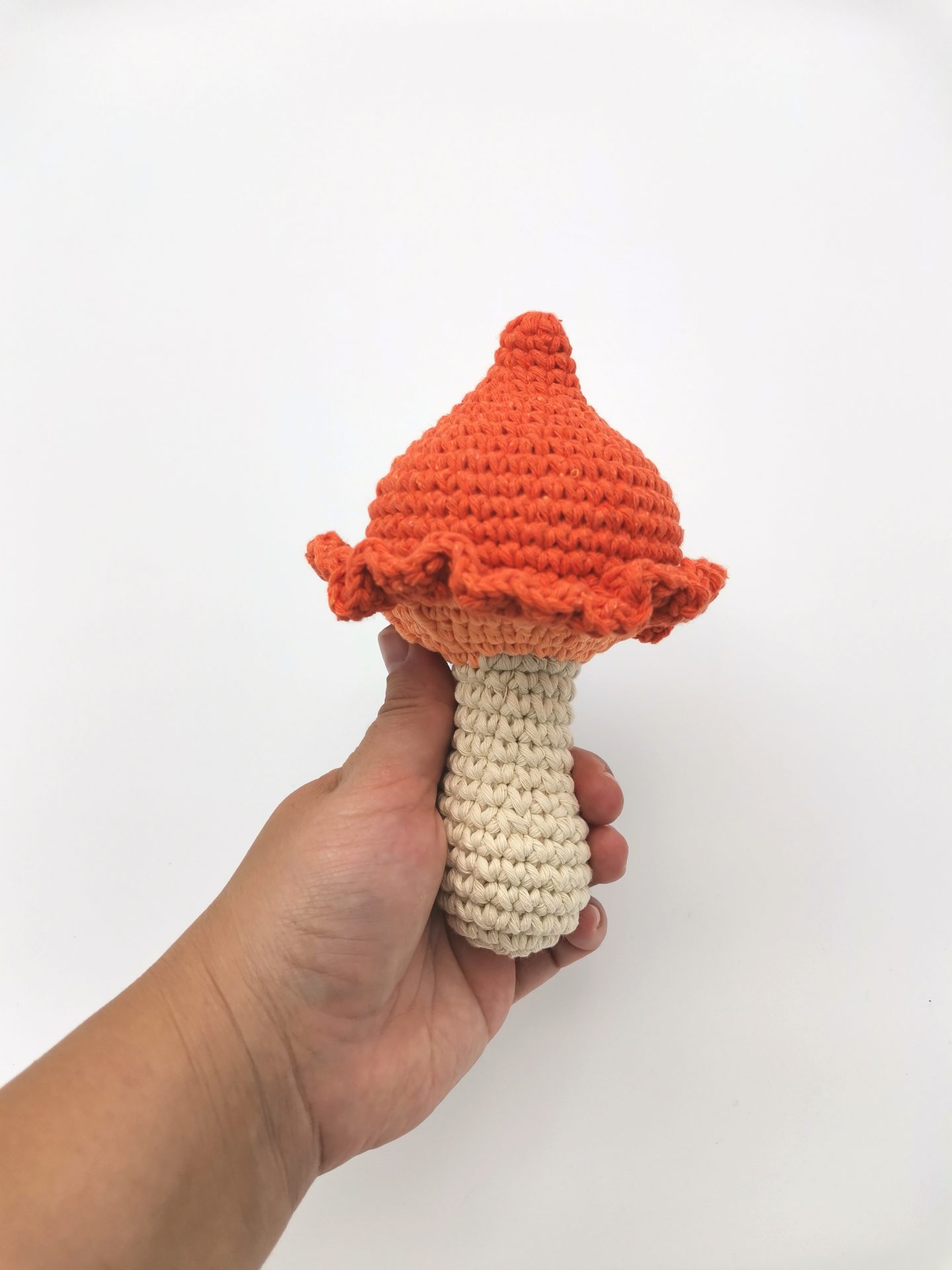 ciuperca portocalie (5)