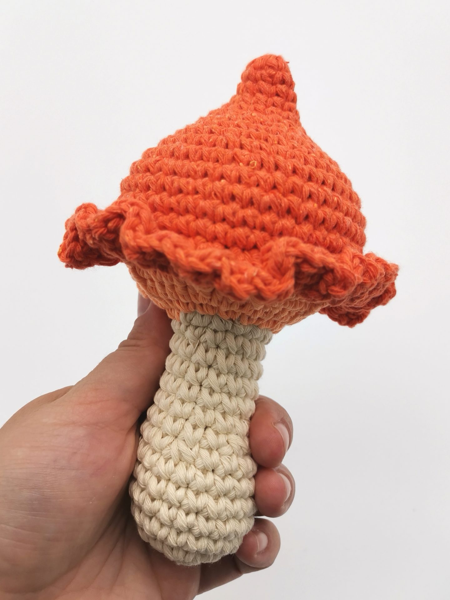 ciuperca portocalie (6)