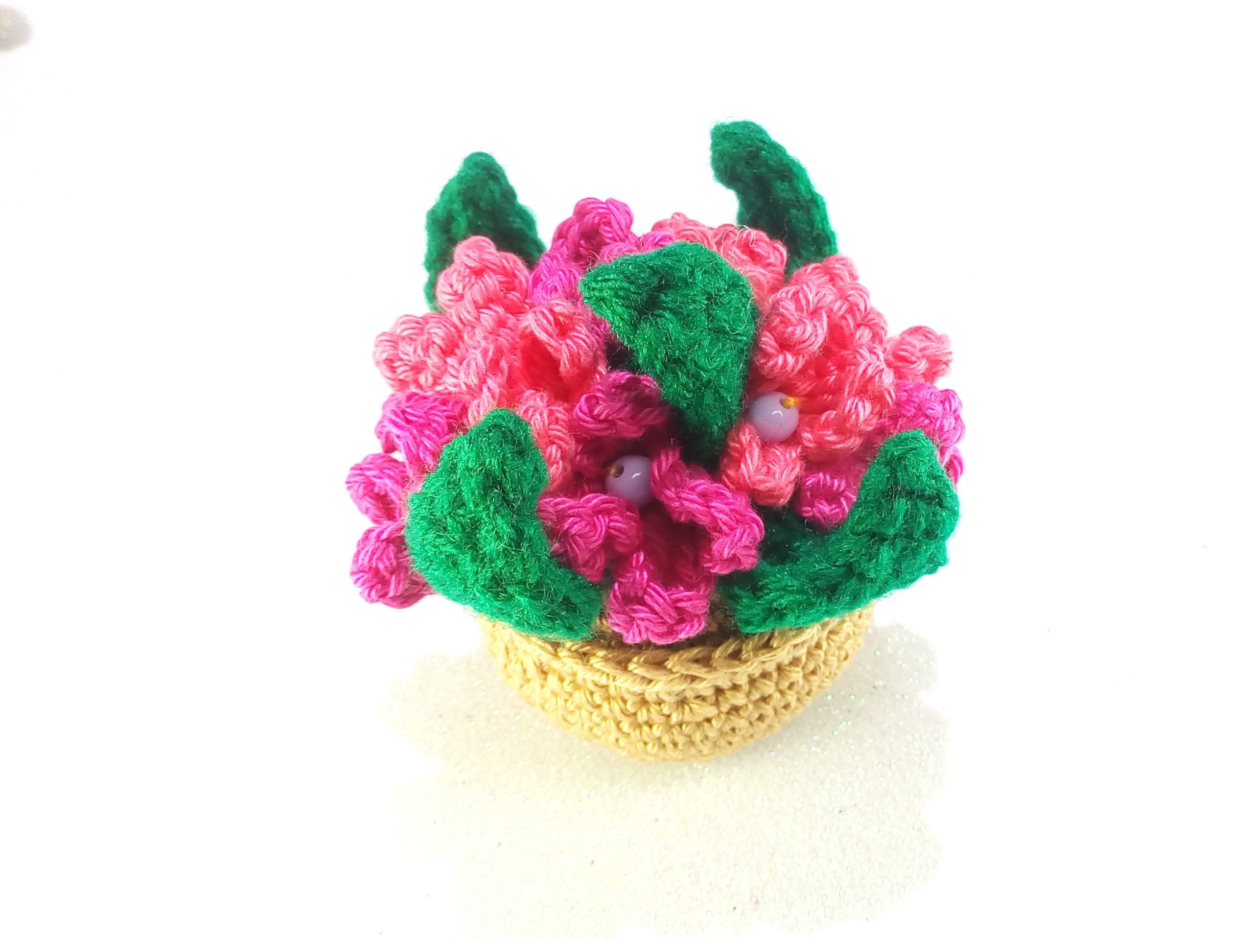 ghiveci fl roz cu cyclam (2)