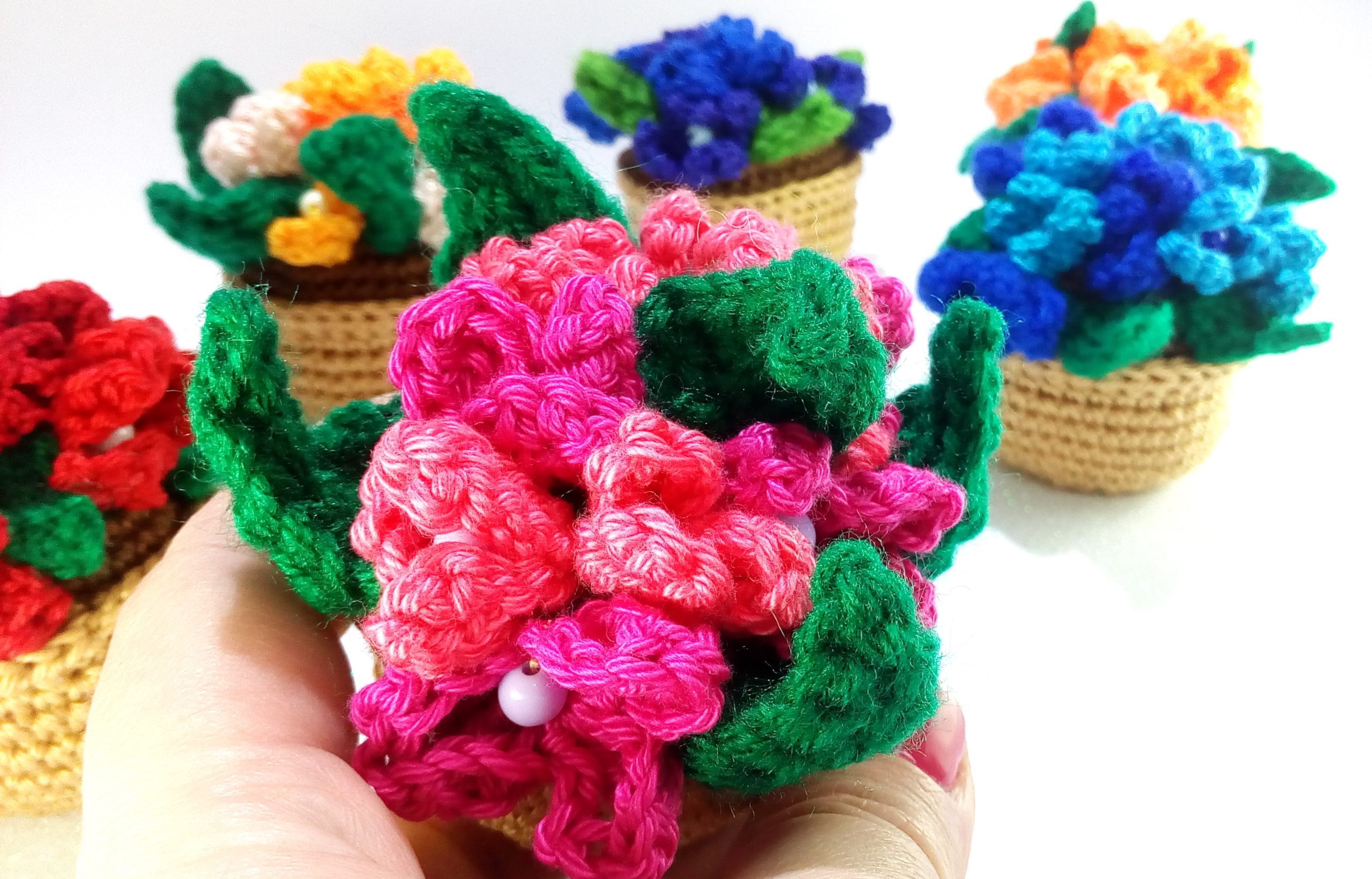 ghiveci fl roz cu cyclam (4)